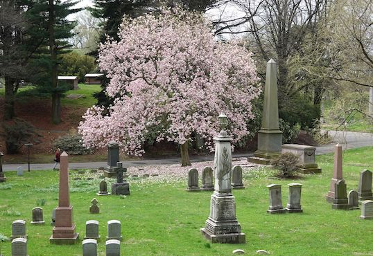Nghĩa trang Greenwood, Brooklyn, New York